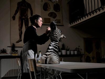 Ilse Vandeplas, taxidermist