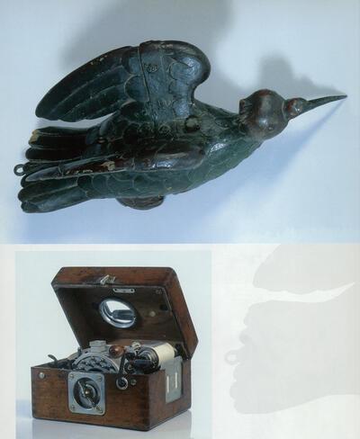 Huis van Alijn, Struifvogel, Constateur,