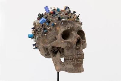 Maarten Van den Eynde, The last Human (skull) (2017) 
