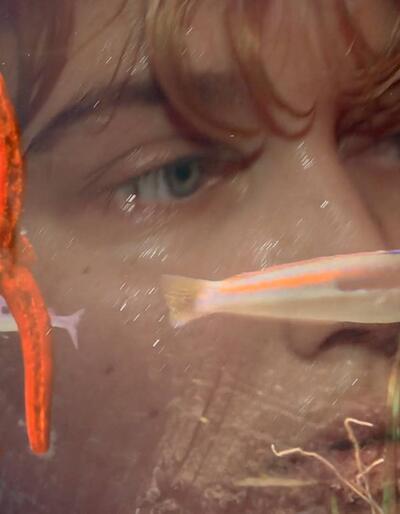 River of Rebirth - Laure Prouvost, Four for See Beauties, 2022