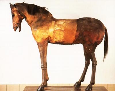 Het paard van Aartshertogin Isabella 