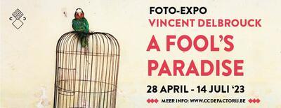 Vincent Delbrouck, A Fool's Paradise in CC De Factorij