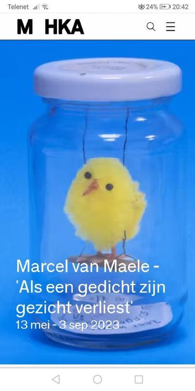 Marcel van Maele - Als een gedicht zijn gezicht verliest'