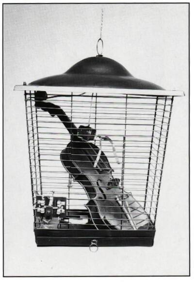 "Violin in a Bird Cage" ( 1965), Joe Jones. gemengde technieken. Fluxusverzameling Gilbert en Lila Silverman, Detroit