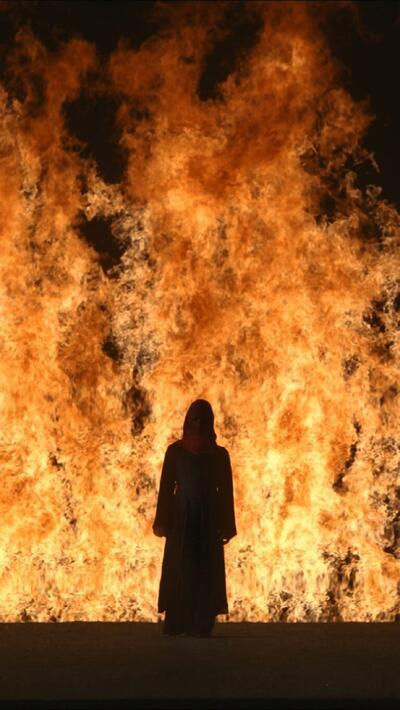 Bill Viola, Fire Woman