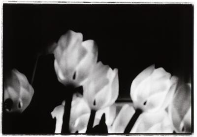 Dany Lobe, Blow-up VI, 1991, fotografie