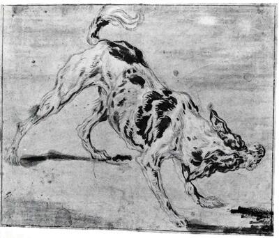 Jan Fyt (Antwerpen, 1611-1661), Blaffende hond. Tekeningen