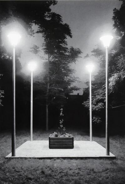 Guillaume Bijl (1946), Sculpture Trouvée, KUnst