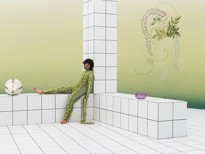 Anthea Hamilton - Mash Up (installation view M HKA 2022)