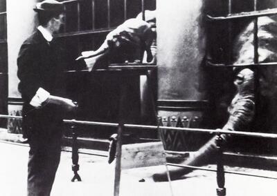 Rembrandt Bugatti, ca 1908. Historische opname uit het Josué Dupon-familiearchief. Zoo
