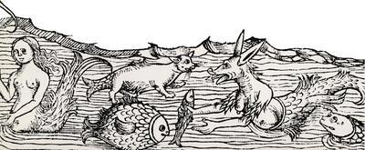 Dieren van de lucht, van het land en van het water, Dieren als model - Het dier in de Vlaamse schilder- en beeldhouwkunst