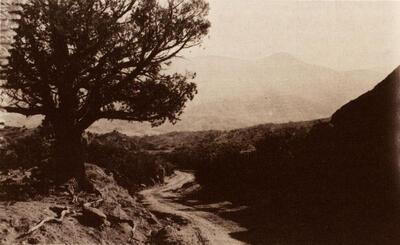 William Henry Jackson (U.S.A., 1843-1942), On the road to the Garden of Gods, ca. 1875. Fotografie