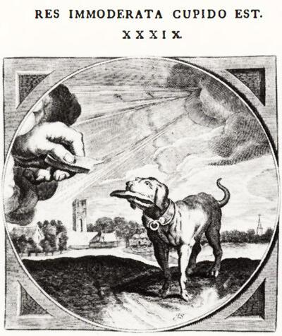 Jacob Jordaens, Embleem. Res immoderate cupido est 