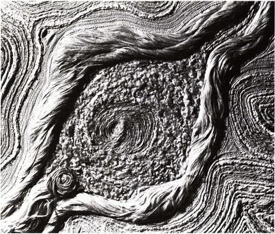 Marga (1944-). Umwelt. 1975. Textielkunst