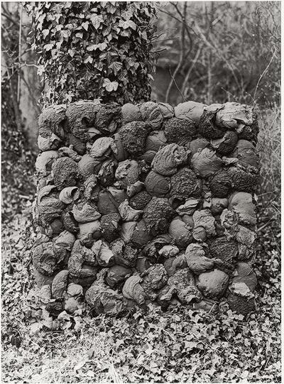 Bram Bogart, Greengroengreen, 1973, Har Sanders