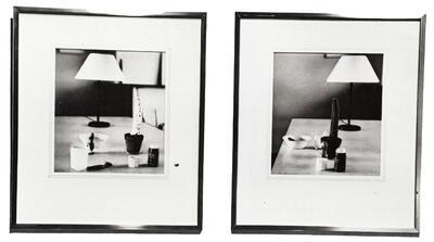 Ger van Elk, The well shaven cactus, 1969-1971