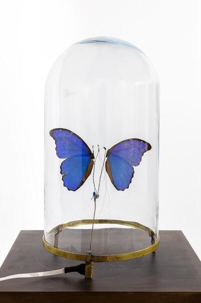 Vivien Roubaud - Temps suspendu