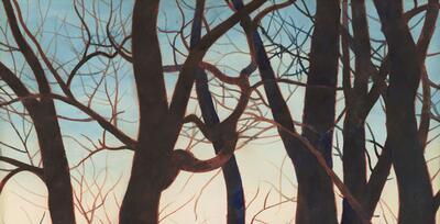 Het beeld geëvaporeerd geheugen