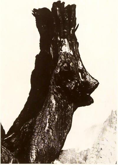 Martien Coppens, Koningskopje ca. 1948, uit 'Monsters van de Peel', Eindhoven 1958.