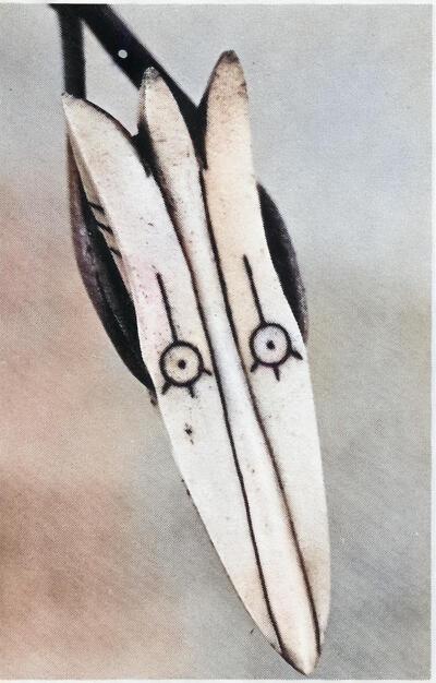 Harpoenpunt in de vorm van een vogelkop, Inuit, Alaska, 