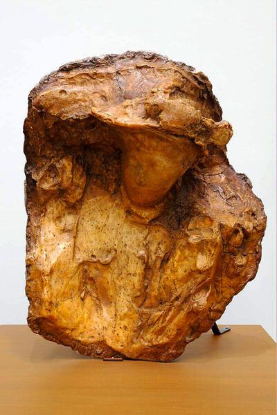 Medardo Rosso, Vrouw met sluier, 1893,
