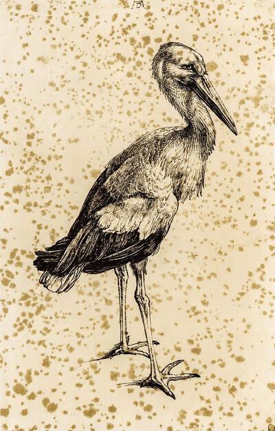 Albrecht Dürer, De ooievaar, 1517