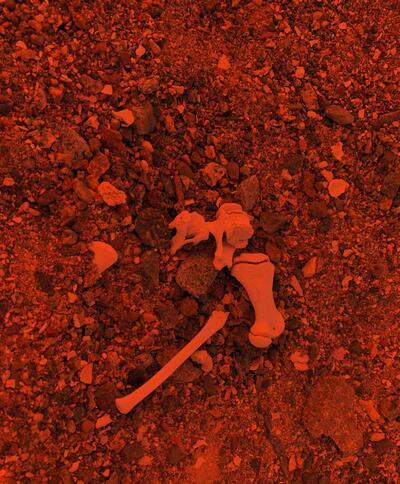 Francisca García & Mario Navarro - Unearthed Conversation