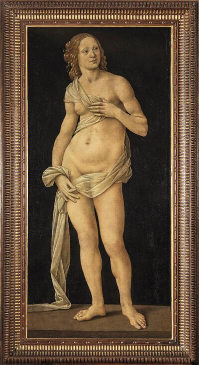 Van Venus tot vlerk - Bellezza e Bruttezza in Boxar