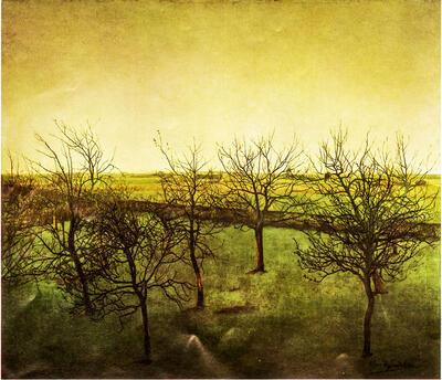 Valerius de Saedeleer, Boomgaard op het einde van de winter, 1908