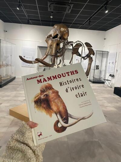 Mammouths - Histoire d'ivoire clair