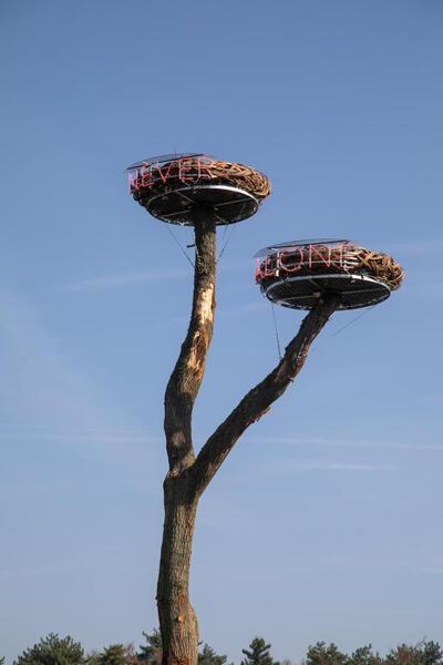 Koen Vanmechelen, Never Alone, Protected Paradise