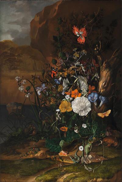 De Kijkhut: Bloemen, vlinders, insecten, een hagedis en padden naast een poel