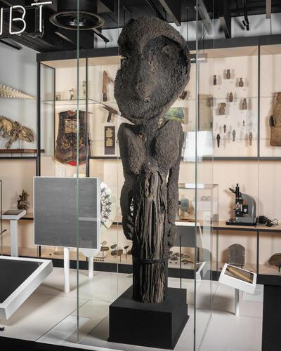 Huizen van herstel? Vlaamse musea en hun koloniale erfenis