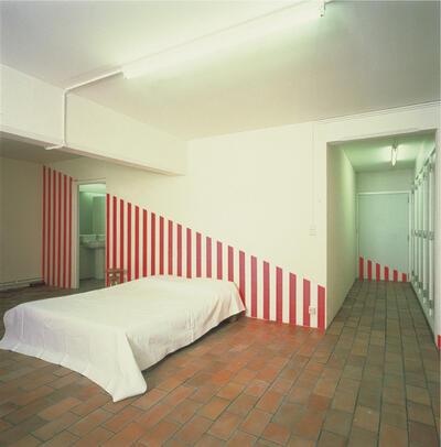 Daniel Buren, Le Décor et son Double, werk in situ, in Chambres d’Amis, Museum van Hedendaagse Kunst, Gent, 1986, Detail