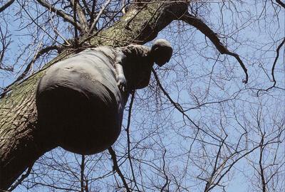 Openluchtmuseum voor Beeldhouwkunst Middelheim