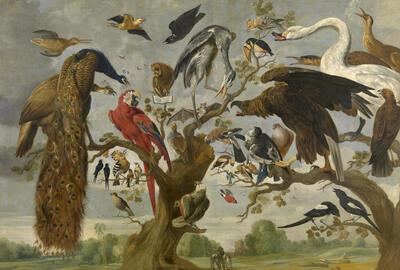 de kijkhut: vogelconcert