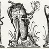Anoniem meester: Illustraties bij het werk van Rabelais 