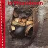 Archeologie in Vlaanderen