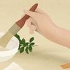 Flore Deman Herbarium