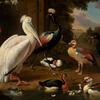 Melchior d’Hondecoeter, Watervogels, ca. 1635, olieverf op doek, gouden eeuw,