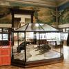 Museum voor Midden-Afrika, Zaal 16 en de vitrinekast met twee krokodillen