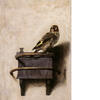 Carel Fabritius, Het puttertje, 1654, olieverf op paneel,