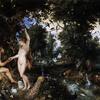 Jan Brueghel en Peter Paul Rubens, Het aardse paradijs met de zondeval van Adam en Eva, 