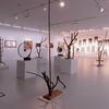 Het Bam te Bergen, Het Surrealisme in België, Tentoonstellingsruimte in het BAM