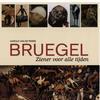 Bruegel, ziener voor alle tijden