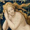 pieter coecke van aelst - in volle glorie