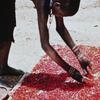KADOC, Verzameling Films Witte Paters