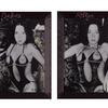 Warande Turnhout Liliane Vertessen, Before After