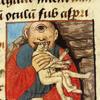 Thomas van Cantimpré, Liber de noturis rerum, begin 16de eeuw Brugge, OB, ms. 411 Mensenetende reuzencycloop