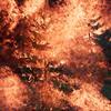 David Claerbout; Wildfire (Meditation on fire) De status van onze planeet